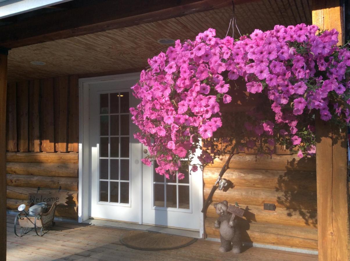 Denali Fireside Cabin & Suites Talkeetna Luaran gambar